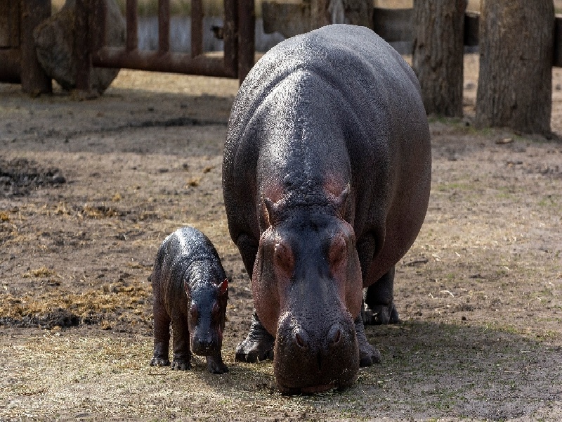 psa检测试管济宁3代试管什么是实验试管